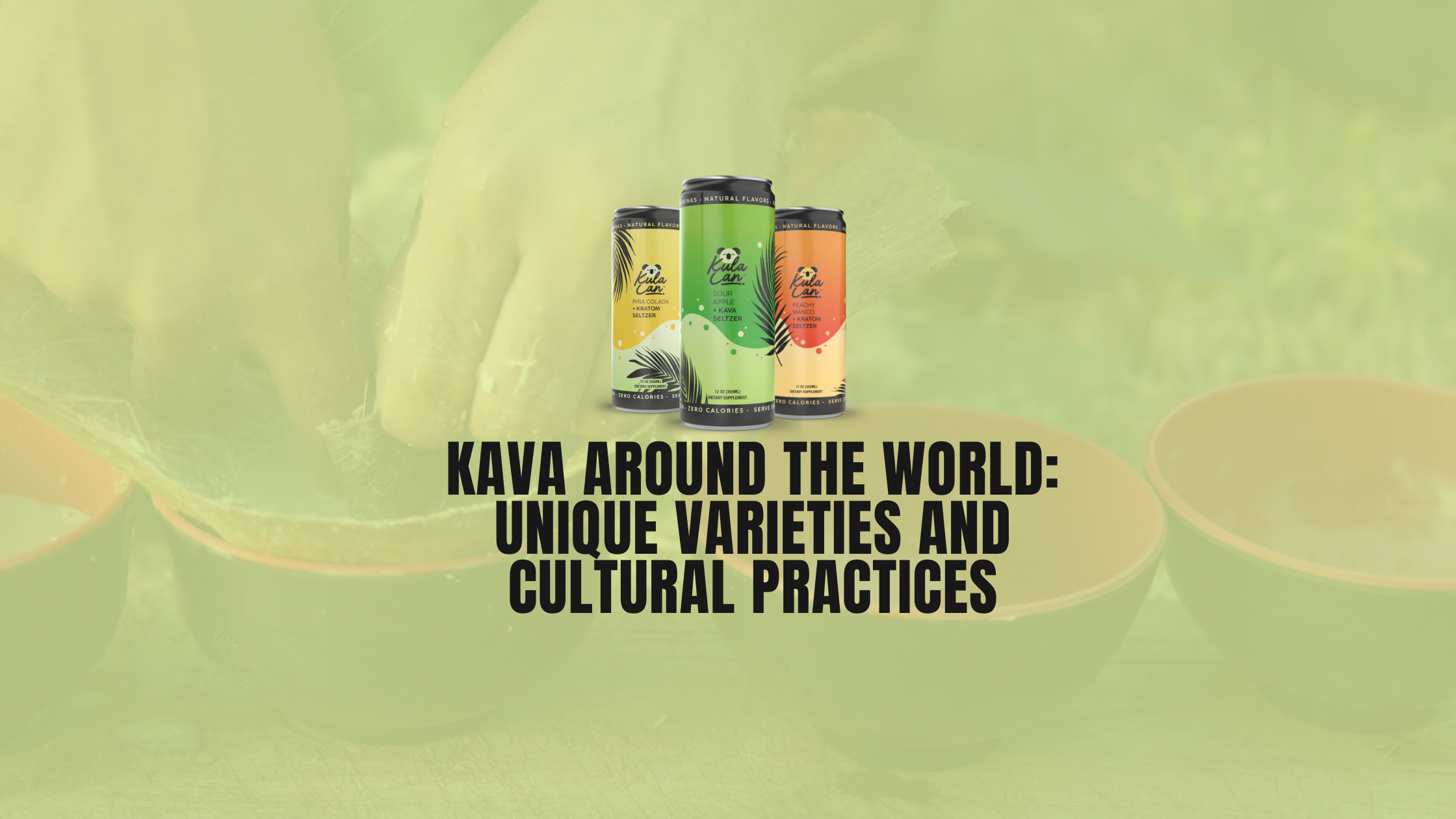 Kava Distribution Map Kava Around the World: Unique Varieties and Cultural Practices – Kula