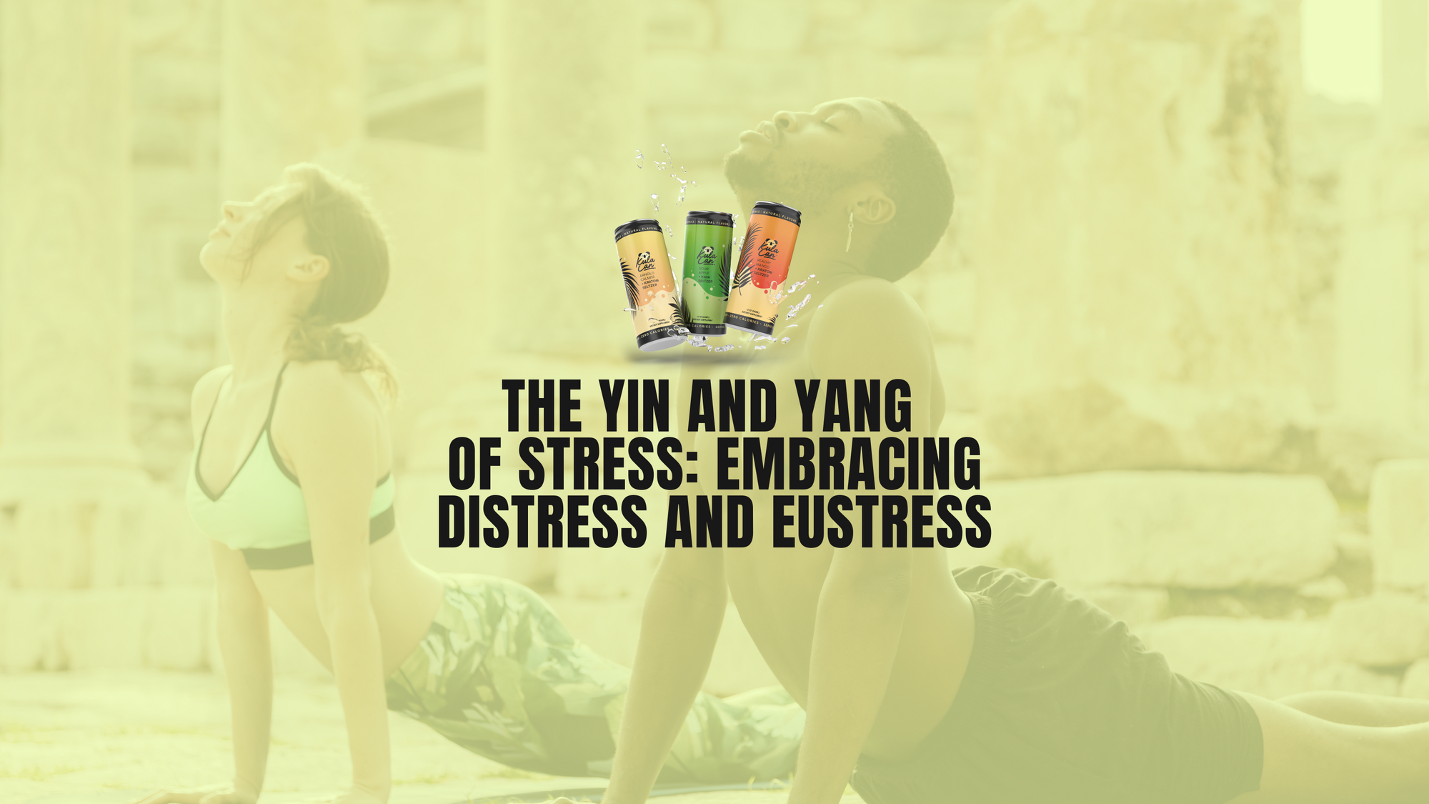 The Yin and Yang of Stress: Embracing Distress and Eustress