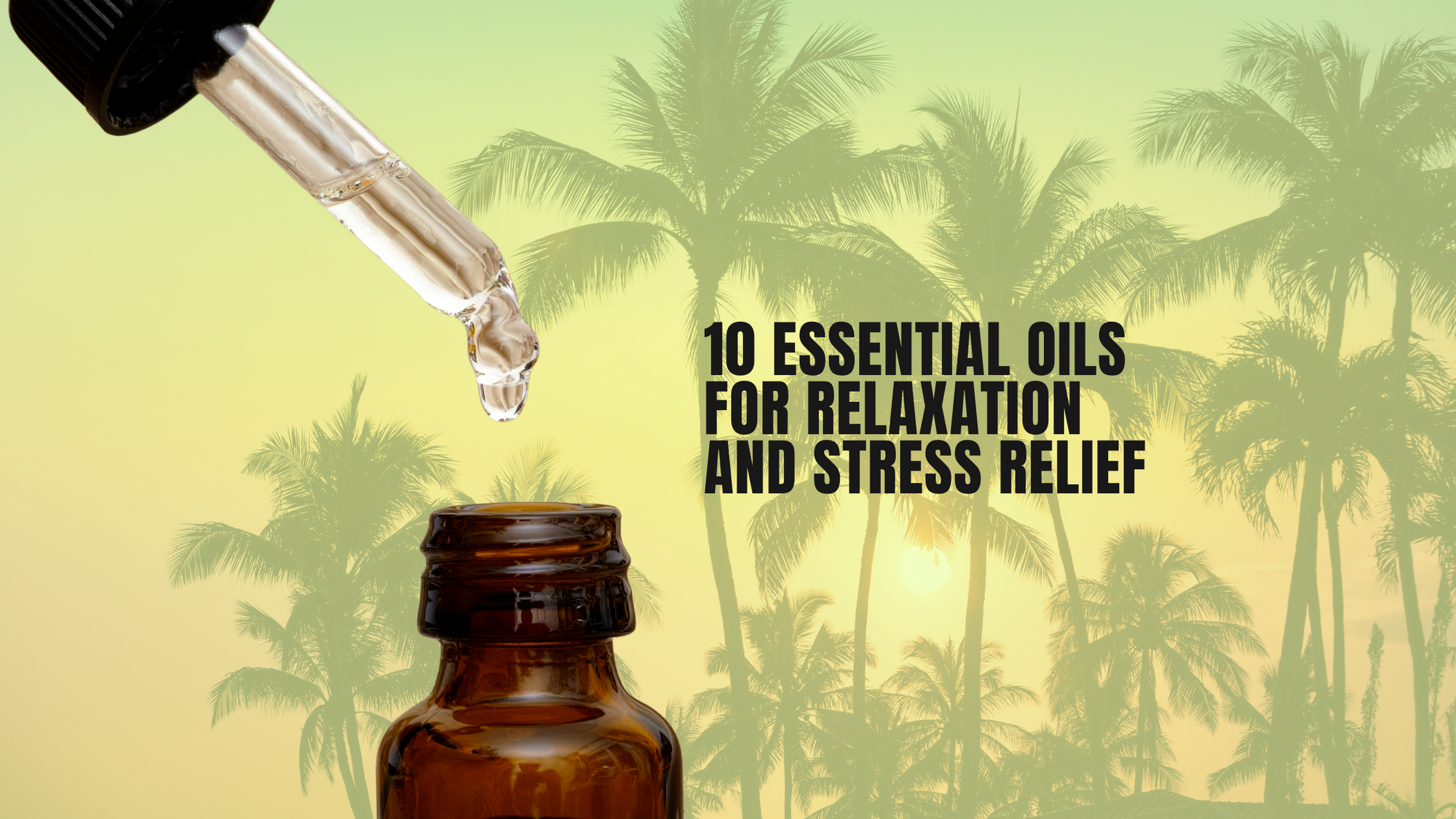 10 Essential Oils for Relaxation and Stress Relief